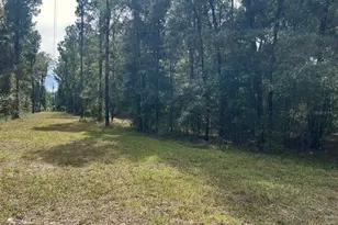 3451 NE 167 Ct, Williston, FL 32696 - Photo 40