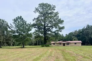 3451 NE 167 Ct, Williston, FL 32696 - Photo 2