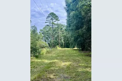 3451 NE 167th Court, Williston, FL 32696 - Photo 36