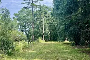 3451 NE 167 Ct, Williston, FL 32696 - Photo 36