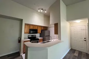 13025 Mulberry Park Dr, Orlando, FL 32821 - Photo 2