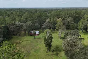 10379 NE Hwy 314, Silver Springs, FL 34488 - Photo 6