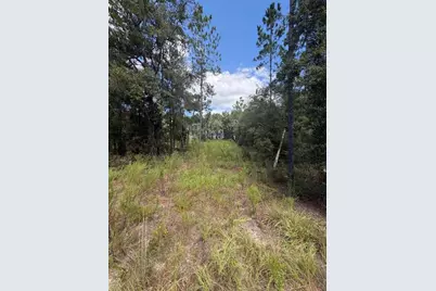 Foxwood, Fort White, FL 32038 - Photo 2