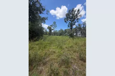 Foxwood, Fort White, FL 32038 - Photo 1