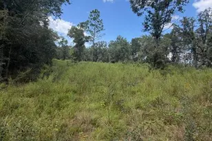Foxwood, Fort White, FL 32038 - Photo 1