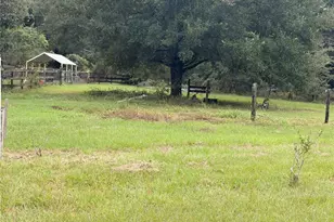 1933 SE 155th St, Summerfield, FL 34491 - Photo 6