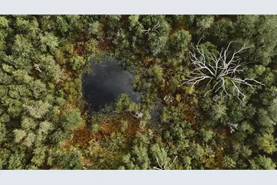 00 50th St, Live Oak, FL 32060 - Photo 48