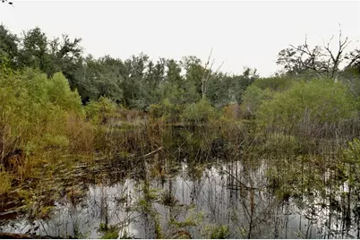 00 50th St, Live Oak, FL 32060 - Photo 36