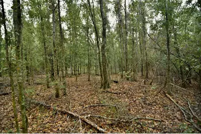 00 50th St, Live Oak, FL 32060 - Photo 34
