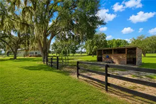 [Address not provided], Ocala, FL 34482 - Photo 42