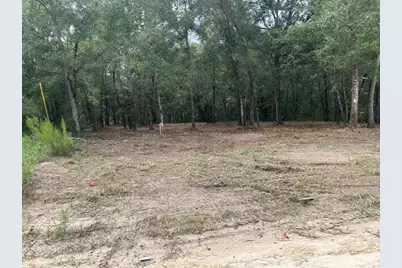 0 SW 150th, Ocala, FL 34481 - Photo 4