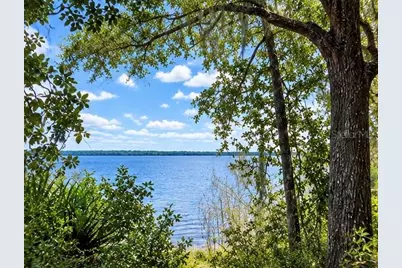Tbd NE 245th Street Road, Fort Mc Coy, FL 32134 - Photo 2