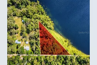 Tbd NE 245th Street Road, Fort Mc Coy, FL 32134 - Photo 1