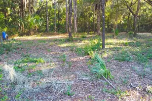 8030 SE 153rd St, Inglis, FL 34449 - Photo 32