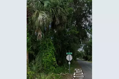 Tbd NE 170th Street, Citra, FL 32113 - Photo 2