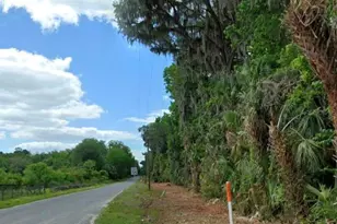Tbd NE 170th St, Citra, FL 32113 - Photo 1