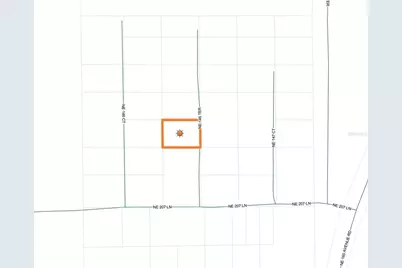 20800 NE 146th Terrace, Fort Mc Coy, FL 32134 - Photo 24