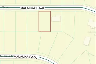 Malauka Track, Ocala, FL 34480 - Photo 1