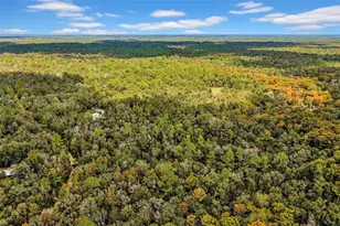 122 Tract SW Buck Trail Rd, Chiefland, FL 32626 - Photo 60