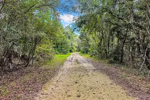 122 Tract SW Buck Trail Rd, Chiefland, FL 32626 - Photo 72