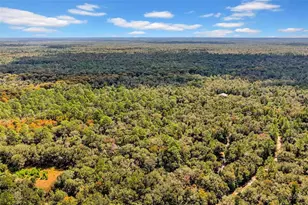 122 Tract SW Buck Trail Rd, Chiefland, FL 32626 - Photo 64