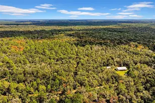 122 Tract SW Buck Trail Rd, Chiefland, FL 32626 - Photo 62
