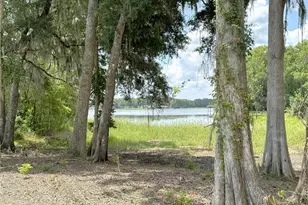 7144 S Aloysia Ave, Floral City, FL 34436 - Photo 30