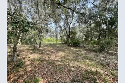 Lots 462 & 463 SW Shorewood Drive, Dunnellon, FL 34431 - Photo 4