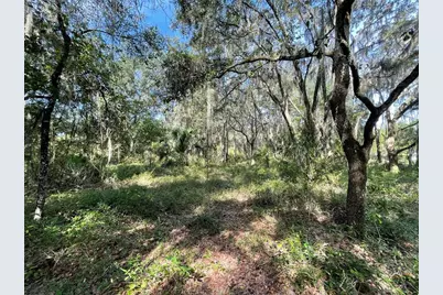 Lots 13 & 14 SW Shorewood Drive, Dunnellon, FL 34431 - Photo 4