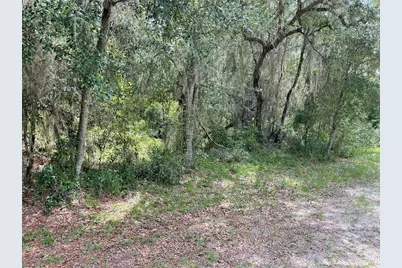 Lots 15 & 16 SW Shorewood Drive, Dunnellon, FL 34431 - Photo 2