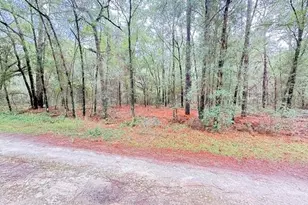 000 SW 10th Pl, Ocala, FL 34481 - Photo 1