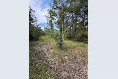 4290 NE 140th Ct, Williston, FL 32696 - Photo 8