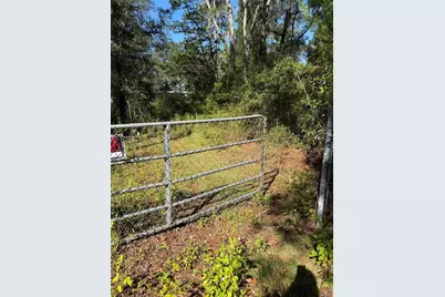 4290 NE 140th Ct, Williston, FL 32696 - Photo 2