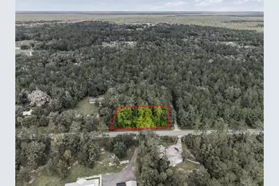 314 Highway NE, Silver Springs, FL 34488 - Photo 12