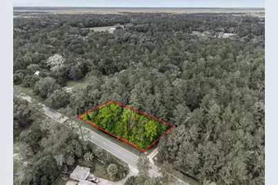 314 Highway NE, Silver Springs, FL 34488 - Photo 2