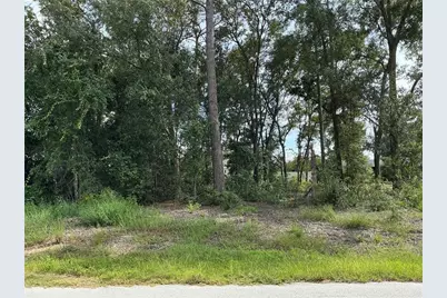 Se 159th Place, Summerfield, FL 34491 - Photo 1