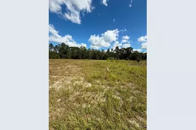 Xxx SW 59th Court, Ocala, FL 34473 - Photo 8