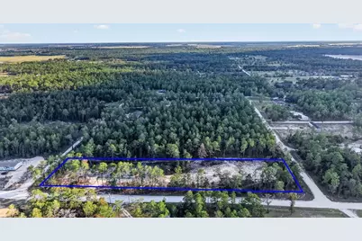14470 SE 8th Street, Williston, FL 32696 - Photo 6