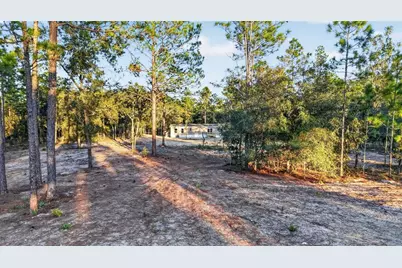 170 NE 138th Avenue, Williston, FL 32696 - Photo 4
