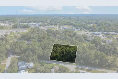 3817 E Forest Drive, Inverness, FL 34453 - Photo 2