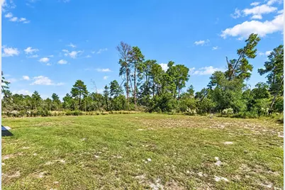 17399 SW 25th Circle, Ocala, FL 34473 - Photo 54