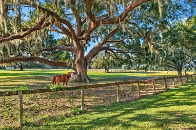 5850 SE 212th Court, Morriston, FL 32668 - Photo 2