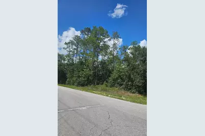Tbd SW Zinnia Court, Dunnellon, FL 34431 - Photo 4