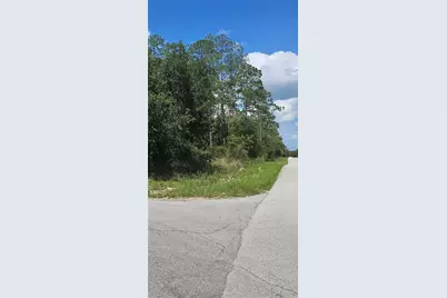 Tbd SW Zinnia Court, Dunnellon, FL 34431 - Photo 1