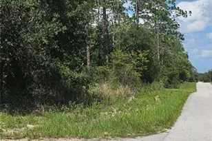 Tbd SW Zinnia Ct, Dunnellon, FL 34431 - Photo 1