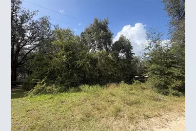Tbd NE 168 Court, Silver Springs, FL 34488 - Photo 2