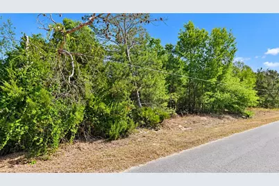 Se 108th Place, Belleview, FL 34420 - Photo 2