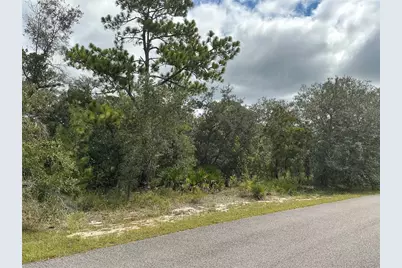 12510 Marbled Godwit Road, Weeki Wachee, FL 34614 - Photo 4