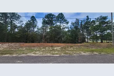 9172 N Marcus Way, Dunnellon, FL 34433 - Photo 4