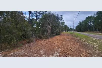 9172 N Marcus Way, Dunnellon, FL 34433 - Photo 2